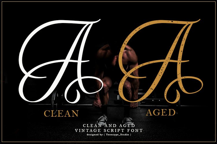 Airthan Script a Vintage Script Font - Image 2