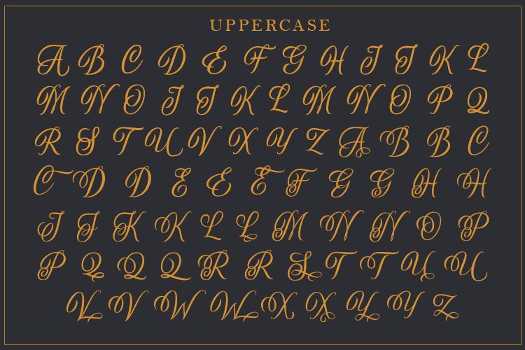 Airthan Script a Vintage Script Font - Image 12