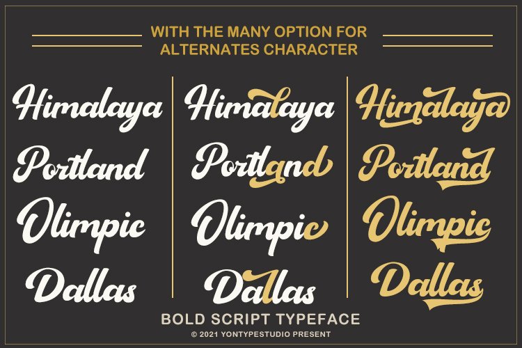 Sagha a Modern Script Typeface - Image 5
