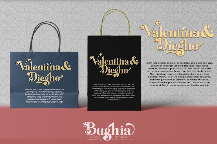 Bughia Font a Display Serif Font - Image 7