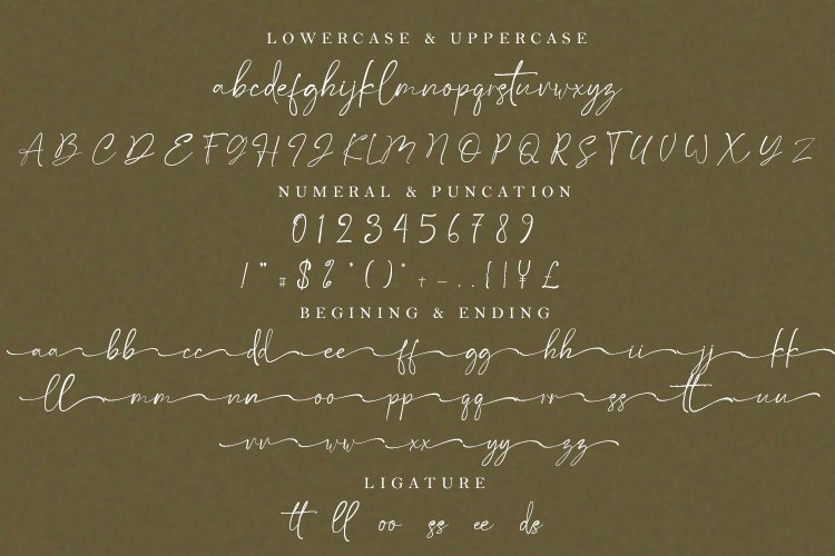 Satteck A Luxury Calligraphy Signature Font - Image 9