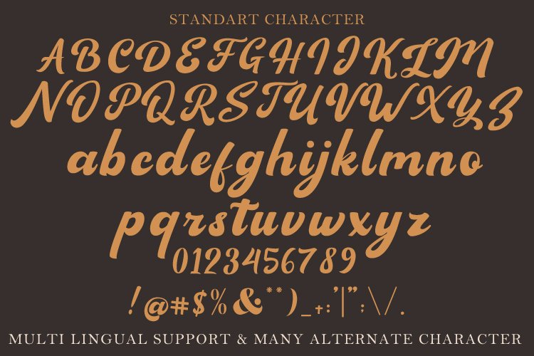 Sagha a Modern Script Typeface - Image 10