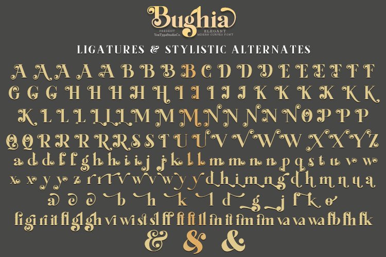 Bughia Font a Display Serif Font - Image 10