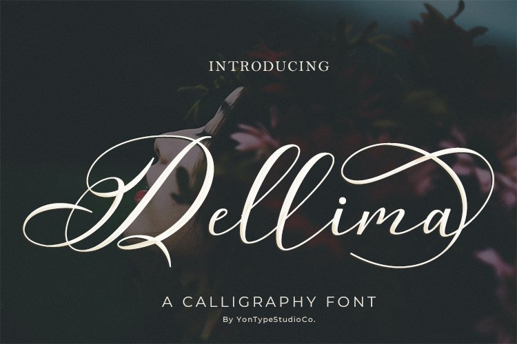 Dellima | Wedding Calligraphy Font - Image 10
