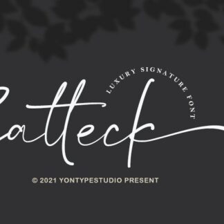 Satteck A Luxury Calligraphy Signature Font