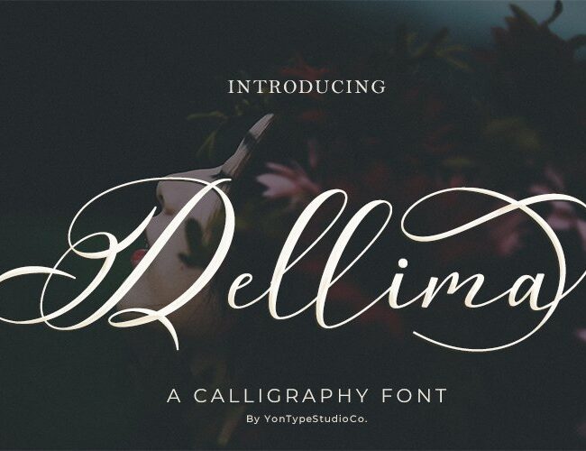 Dellima | Wedding Calligraphy Font